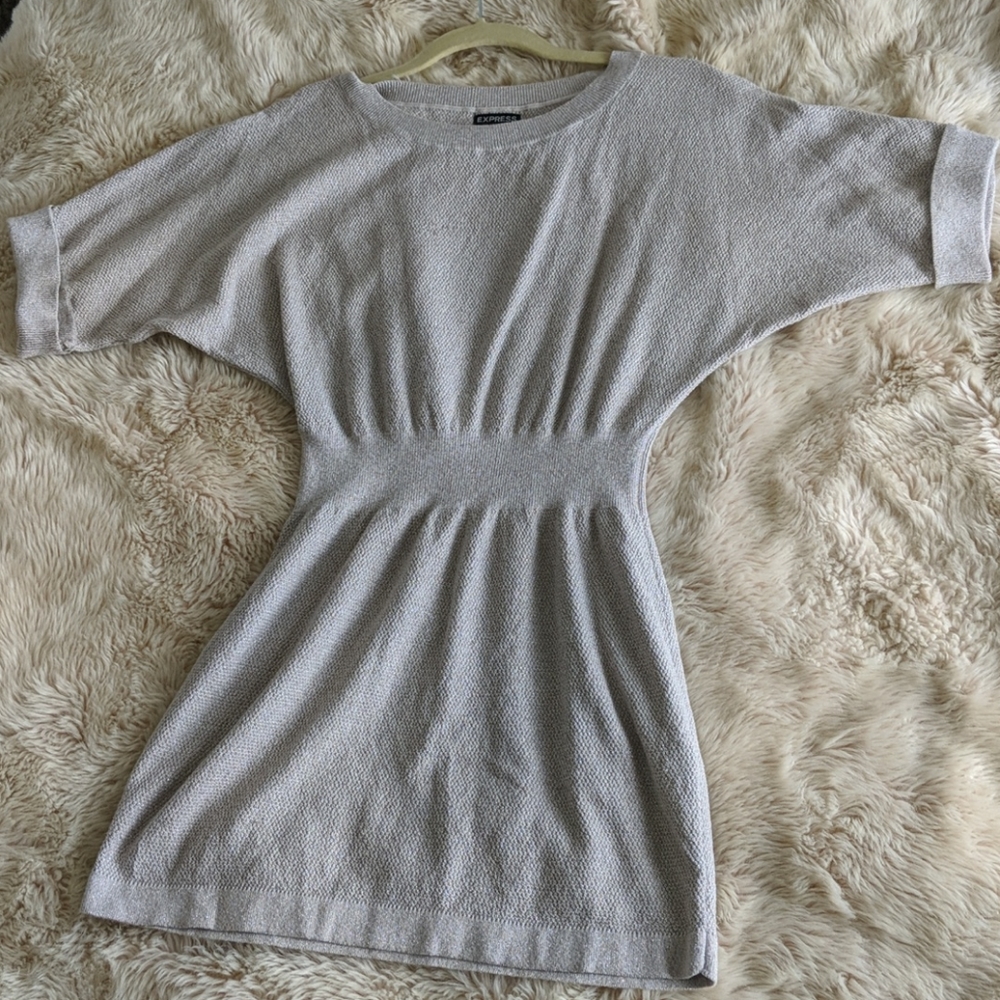 Express Sparkle Sweater Dress